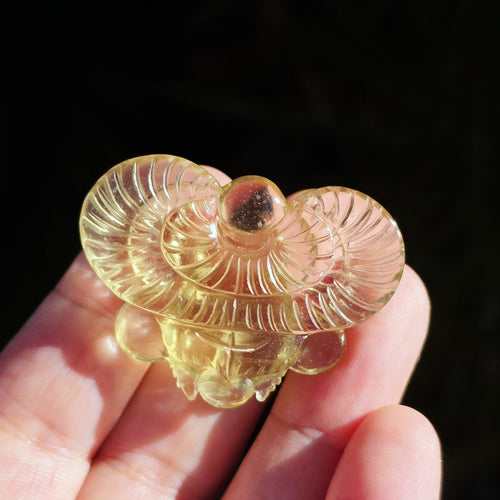 Libyan Desert Glass Scarab | Golden Scarab