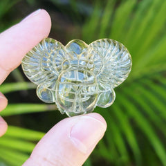 Libyan Desert Glass Scarab | Golden Scarab