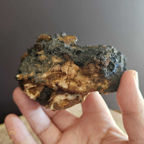 Limonite | Specimen 313gms