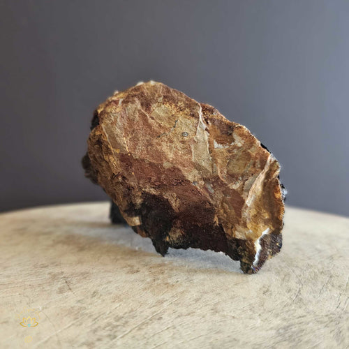 Limonite | Specimen 313gms