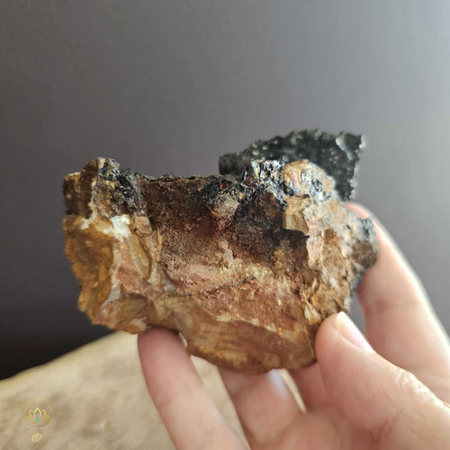 Limonite | Specimen 313gms