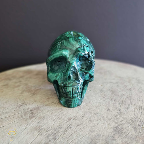 Malachite Skull | Active Protector
