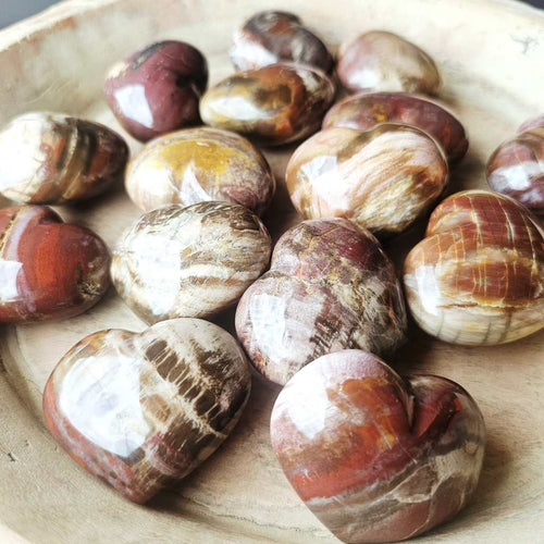 Medium Petrified Wood Hearts | Ancient Memory