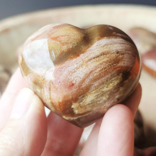 Medium Petrified Wood Hearts | Ancient Memory