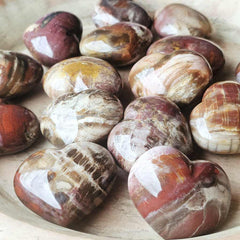 Medium Petrified Wood Hearts | Ancient Memory
