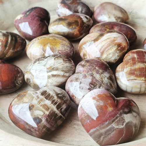Medium Petrified Wood Hearts | Ancient Memory