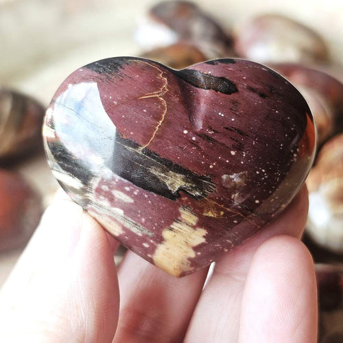 Medium Petrified Wood Hearts | Ancient Memory
