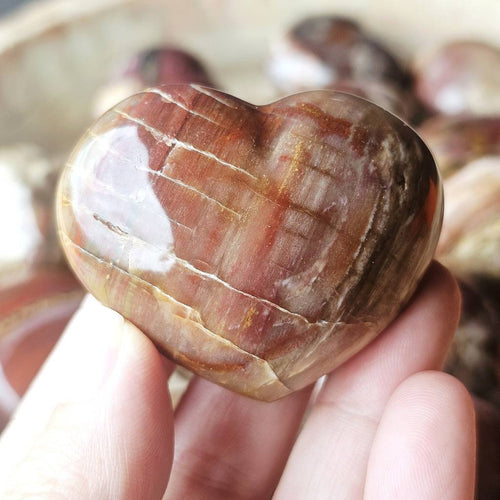 Medium Petrified Wood Hearts | Ancient Memory