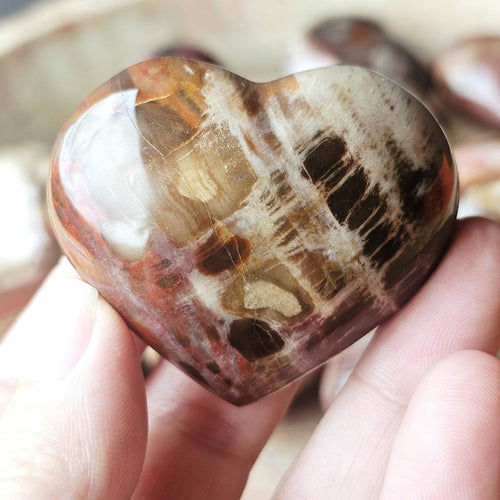Medium Petrified Wood Hearts | Ancient Memory