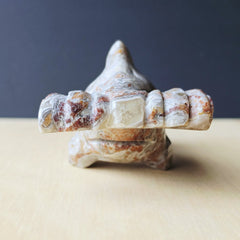 Mexican Crazy Lace Agate Hammerhead Shark