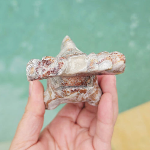 Mexican Crazy Lace Agate Hammerhead Shark