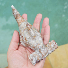 Mexican Crazy Lace Agate Hammerhead Shark