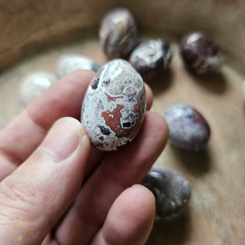 Mexican Crazy Lace Agate Tumbled Stones
