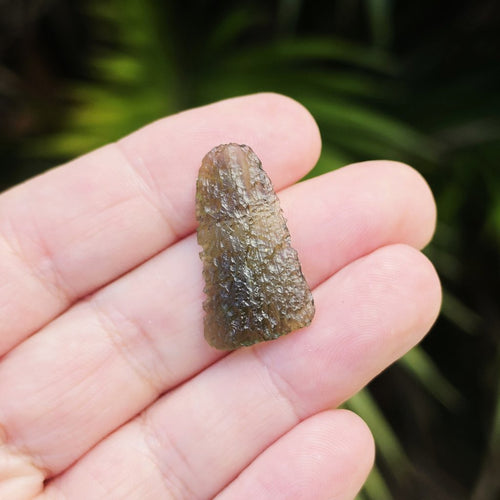 Moldavite Specimen | Emerald Ascension