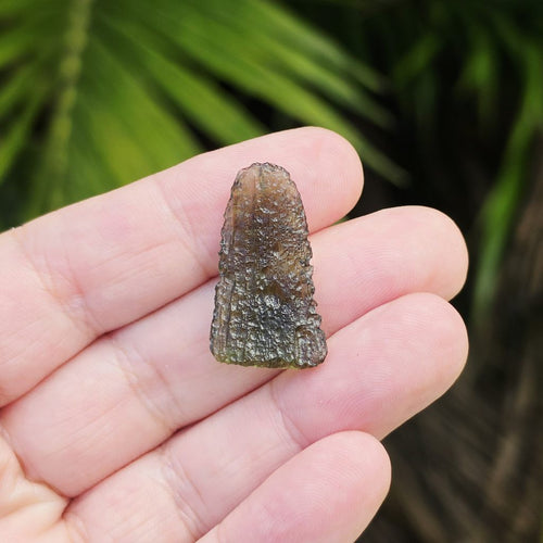 Moldavite Specimen | Emerald Ascension