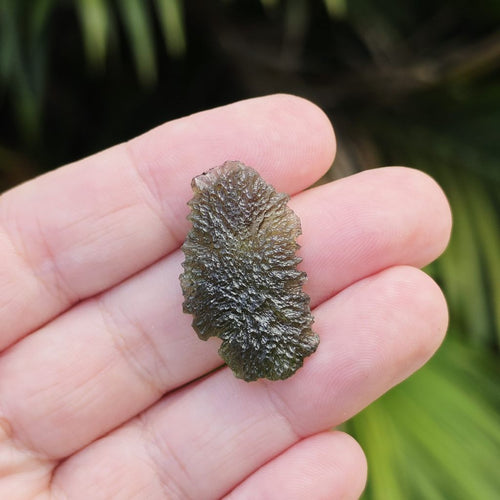 Moldavite Specimen | Soul Igniter