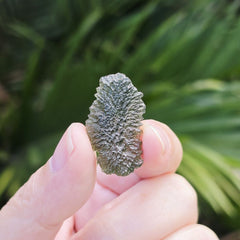 Moldavite Specimen | Soul Igniter