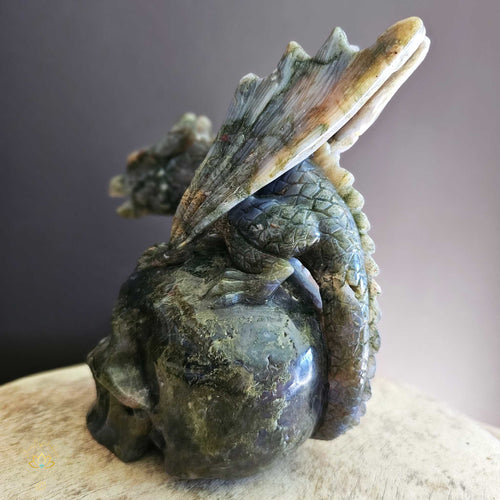 Moss Agate Dragon Skull | Wayshower To Truth