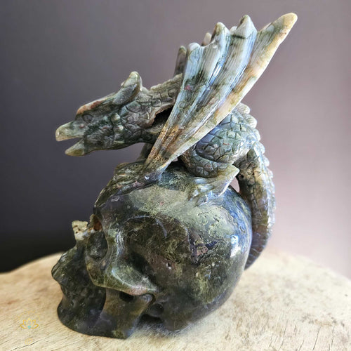 Moss Agate Dragon Skull | Wayshower To Truth