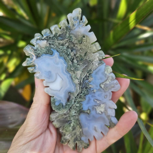 Moss Agate Seahorse Carving | Sea Moss