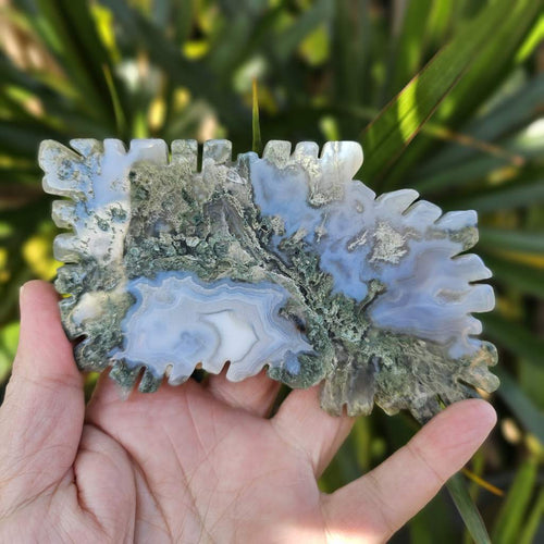 Moss Agate Seahorse Carving | Sea Moss