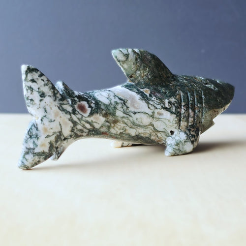 Moss Agate Shark