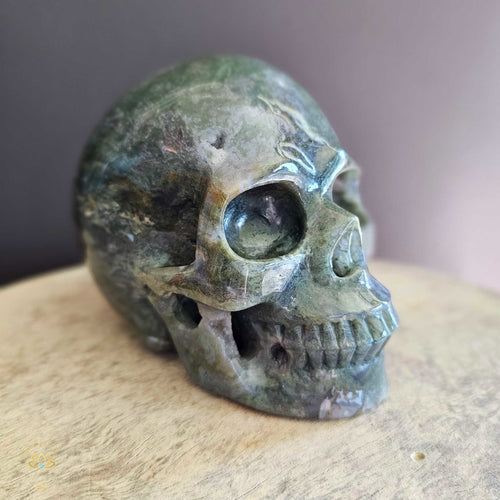 Moss Agate Skull | Nurture My Spirit