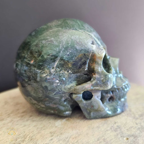 Moss Agate Skull | Nurture My Spirit