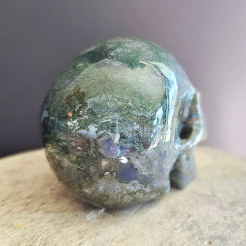 Moss Agate Skull | Nurture My Spirit