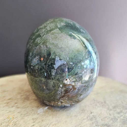 Moss Agate Skull | Nurture My Spirit