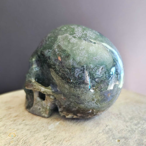 Moss Agate Skull | Nurture My Spirit