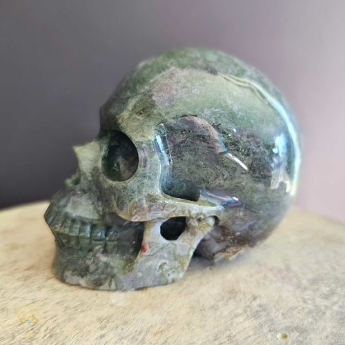 Moss Agate Skull | Nurture My Spirit