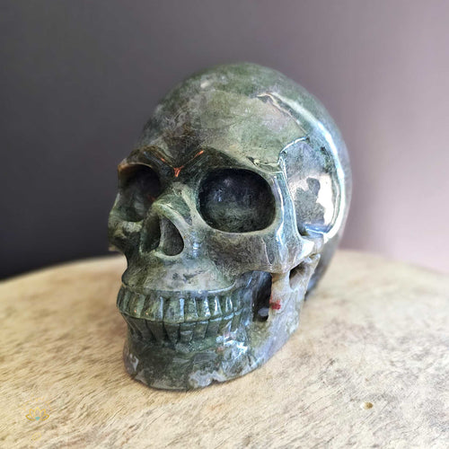 Moss Agate Skull | Nurture My Spirit