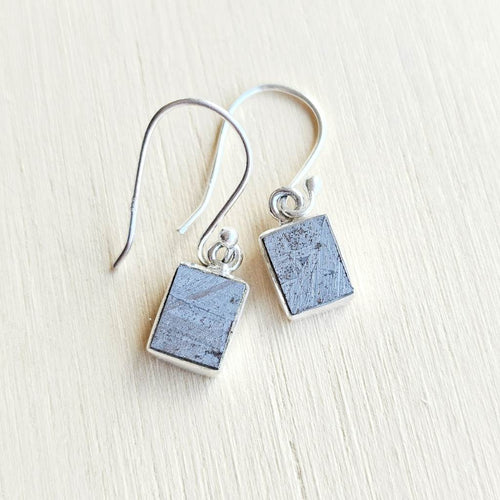 Muonionalusta Meteorite Earrings | Cosmic Signature