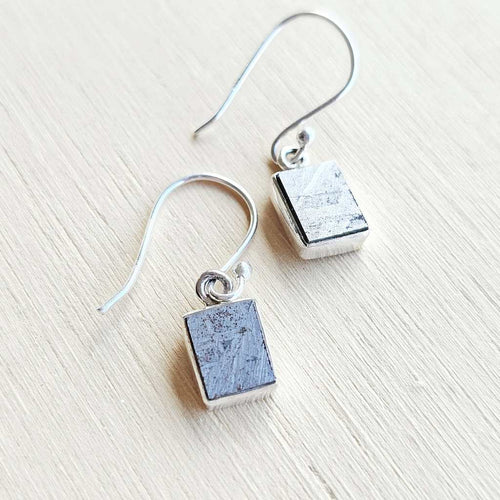 Muonionalusta Meteorite Earrings | Cosmic Signature
