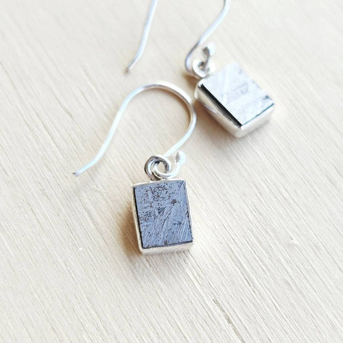 Muonionalusta Meteorite Earrings | Cosmic Signature
