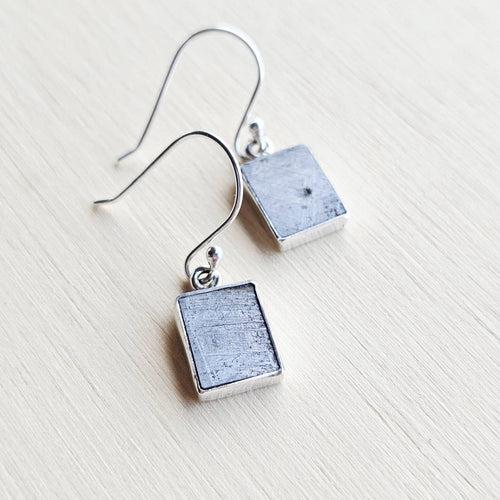 Muonionalusta Meteorite Earrings | Interstellar Muse