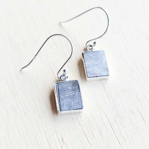 Muonionalusta Meteorite Earrings | The Infinite Pair