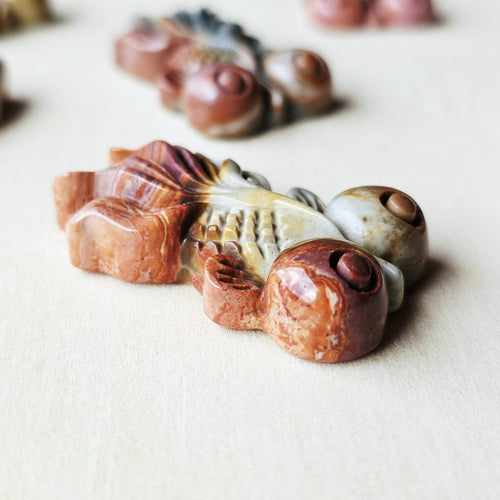 Natural Alashan Stone Goldfish | Alashan Prosperity Keepers