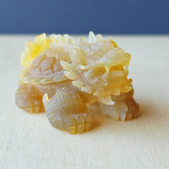 Natural Carnelian Dragon Turtle | Hand Carved Longgui