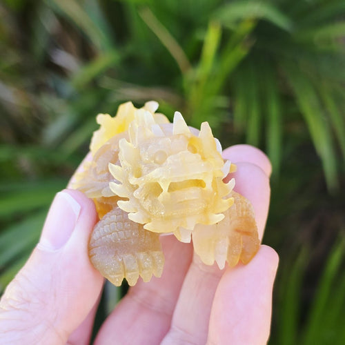 Natural Carnelian Dragon Turtle | Hand Carved Longgui