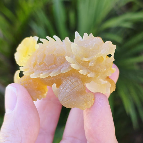 Natural Carnelian Dragon Turtle | Hand Carved Longgui