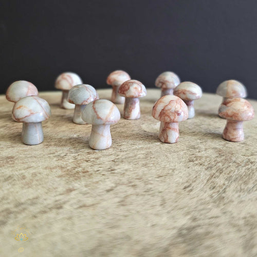 Network Stone Mini Mushrooms