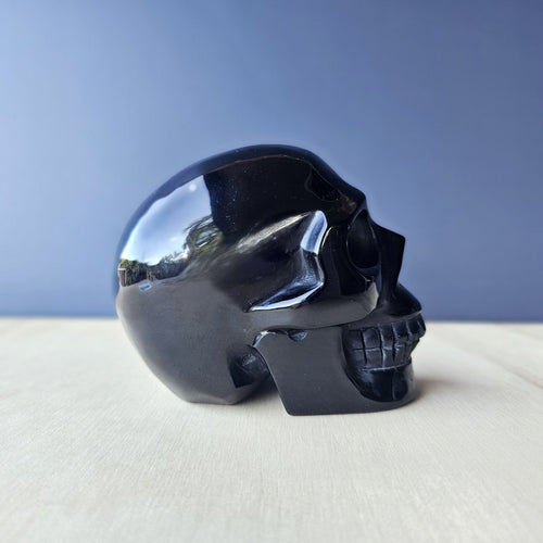 Obsidian Skull | Night Watch Protector