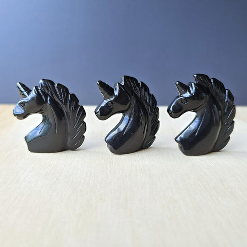 Obsidian Unicorn | Shadow Guardian Unicorn