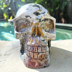 Ocean Jasper Extra Large Skull | The Archivist