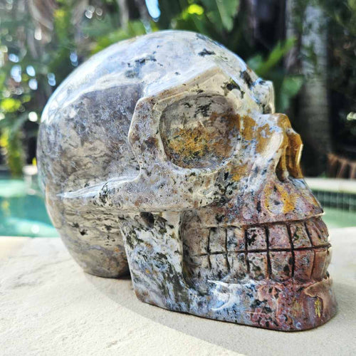 Ocean Jasper Extra Large Skull | The Archivist