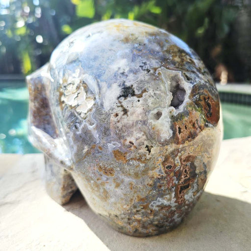 Ocean Jasper Extra Large Skull | The Archivist