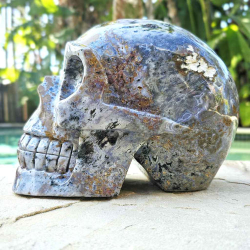 Ocean Jasper Extra Large Skull | The Archivist