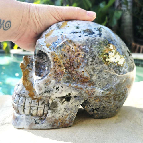 Ocean Jasper Extra Large Skull | The Archivist